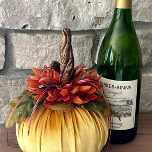 Harvest Ribbon Heirloom Pumpkin