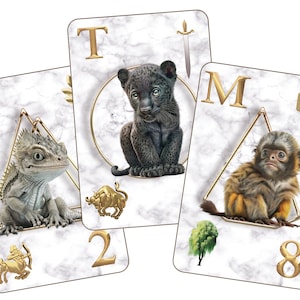 Baraja de oráculo de los Signos del Destino / 30 cartas laminadas con números, letras y signos