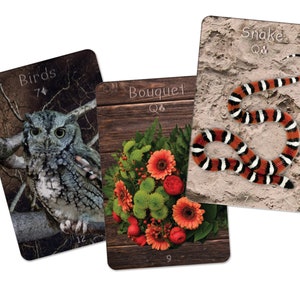 Laminated Lenormand Cards Desert series | 36 laminated cards