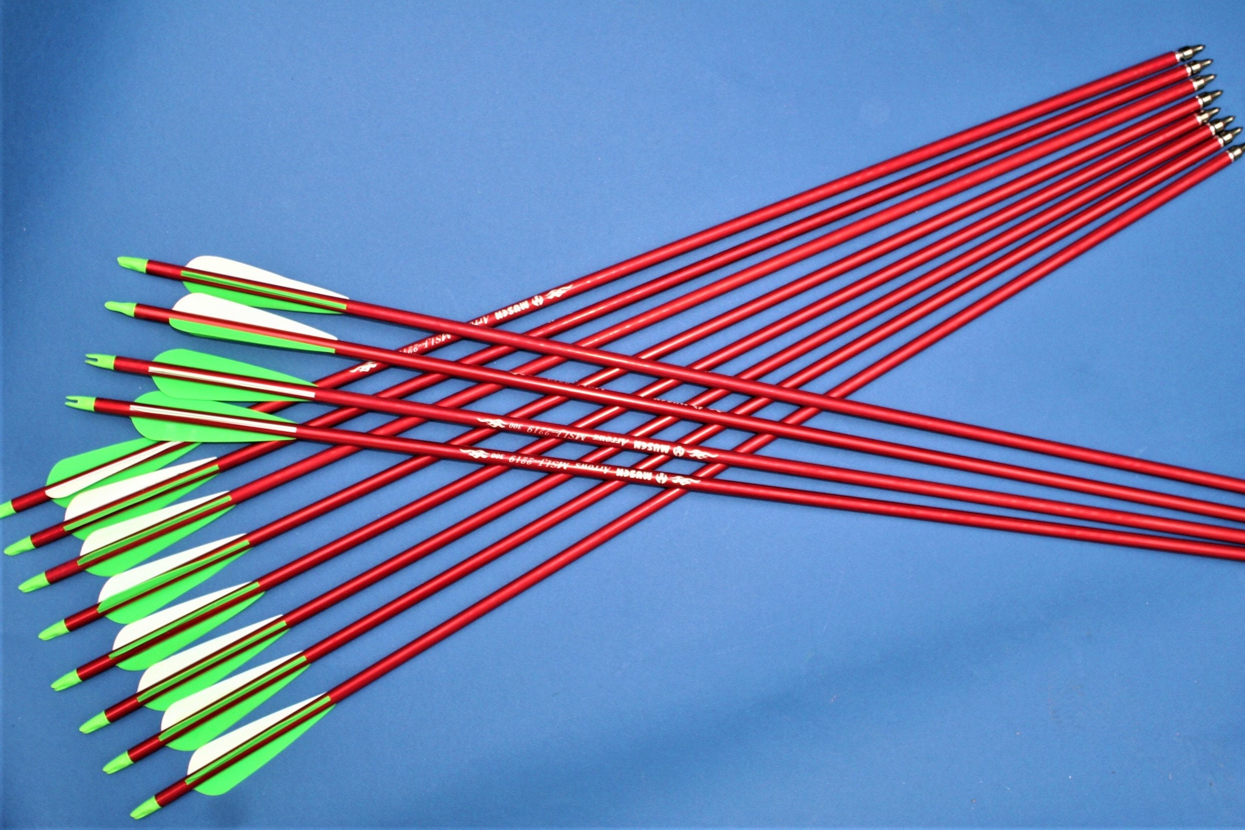 Twelve aluminium arrows recurve and compound bow Etsy
