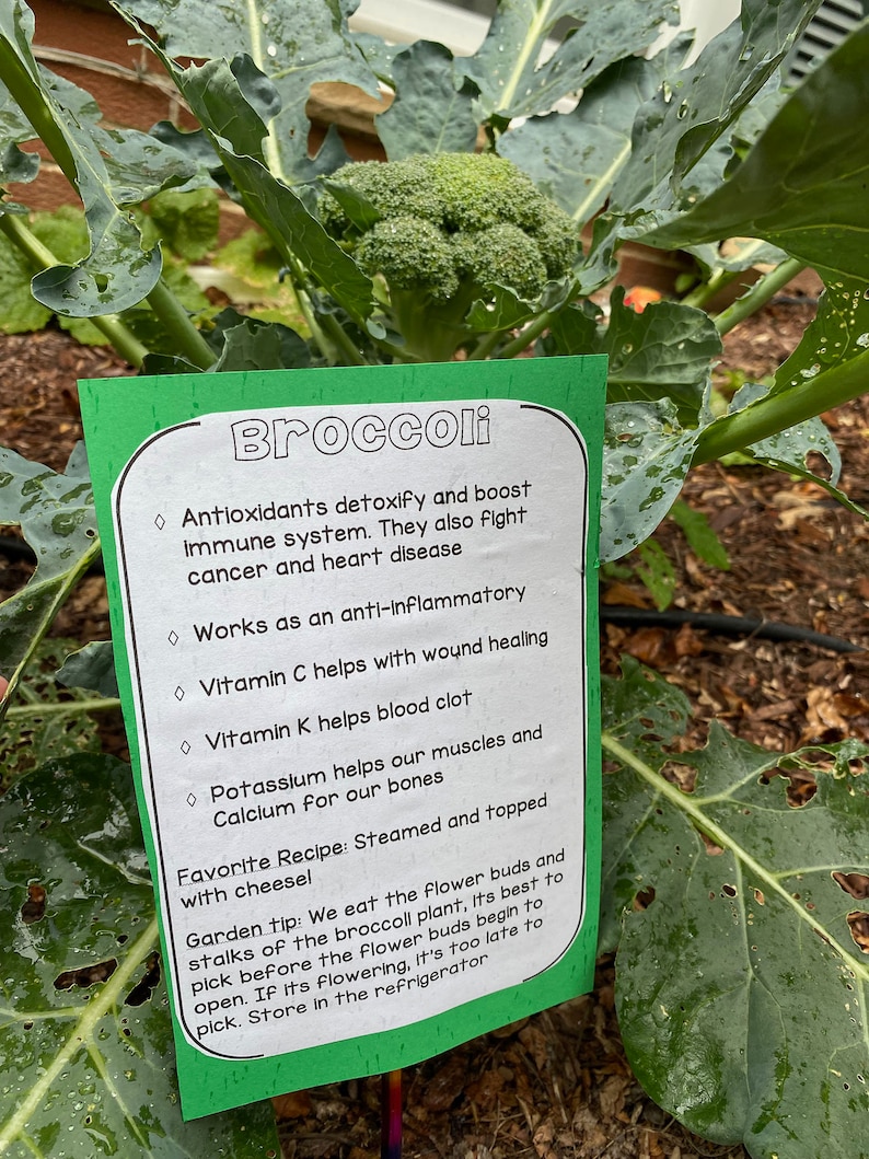 Educational Garden Signs - Etsy