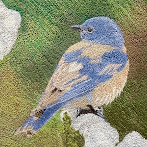 Könnte beinhalten: Ein blauer Vogel mit einer hellbraunen Brust, der auf einer weißen Blume sitzt. Der Vogel hat einen blauen Kopf und einen langen, spitzen Schnabel. Der Hintergrund ist eine grüne Grasfläche.