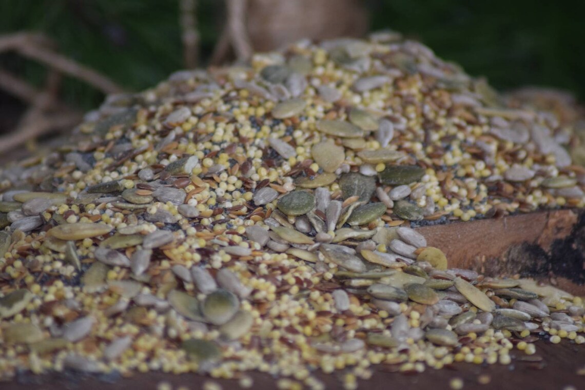 Beex Wild Garden Bird Seed Feed High Quality No Wheat Seed Etsy