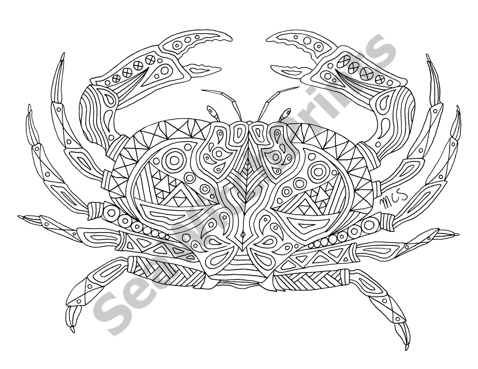 Invertebrates Coloring Pages Coloring Pages