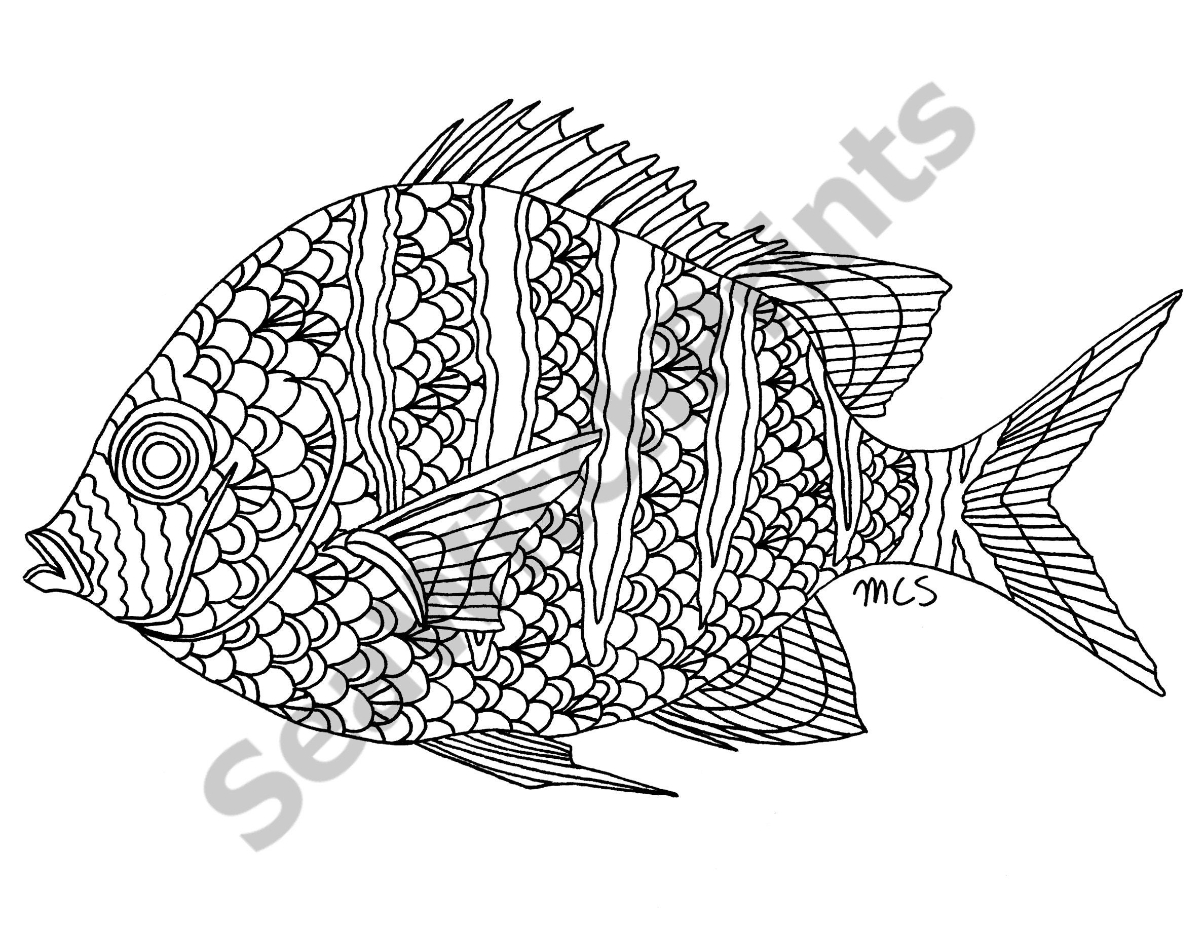 coral reef fish coloring pages