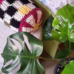 May include: A crocheted pillow with black, white, yellow, and pink stripes. The pillow is sitting on a white fluffy surface. A green monstera plant is in the background.