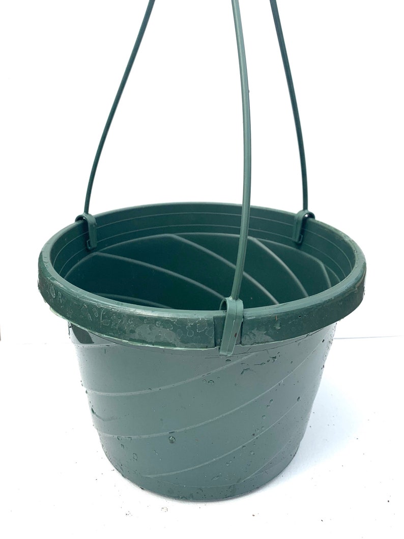 6 Green Plastic Hanging Basket with Drainage Hole Durable Pot Etsy