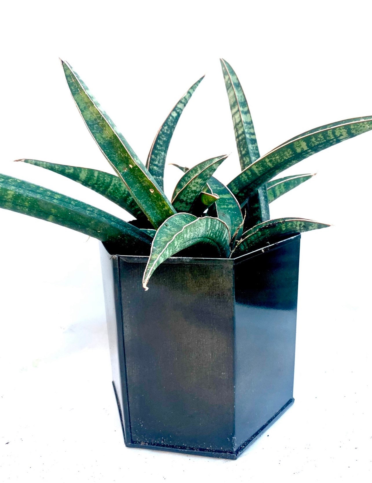 masculin féminin full movie