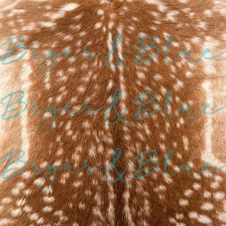 May include: Close-up of a brown and white spotted deer hide. The hide has a soft, fuzzy texture.