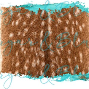 Axis Deer Hide et Turquoise Splash / Téléchargement png numérique / téléchargement sublimation