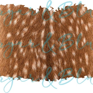 Axis Deer Hide Splash Background / Digital png download/ sublimation download