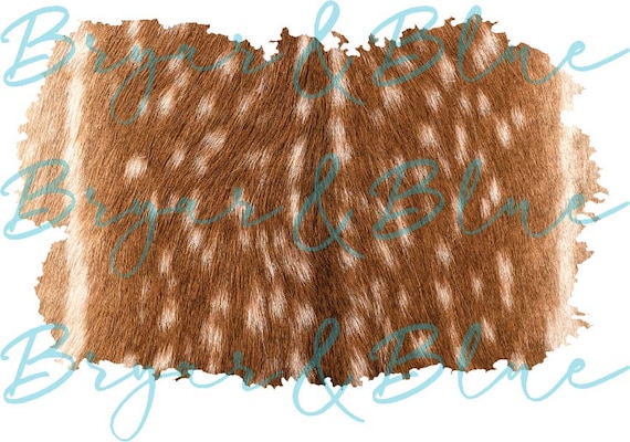 Axis Deer Hide Splash Background / Digital Png Download/ - Etsy