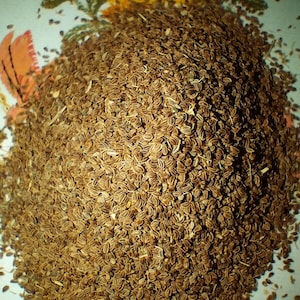 Celery Seeds Utah tall 400mg 600-800 seeds