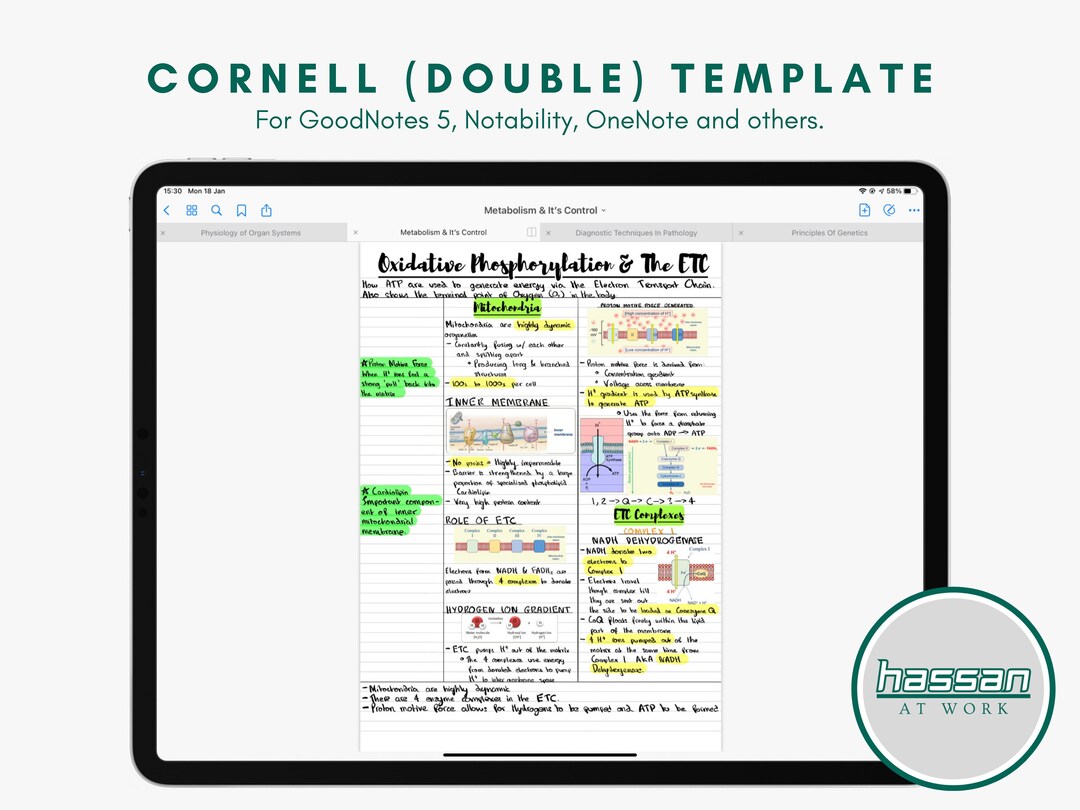 Goodnotes Cornell Double, White, Template (A4) Etsy