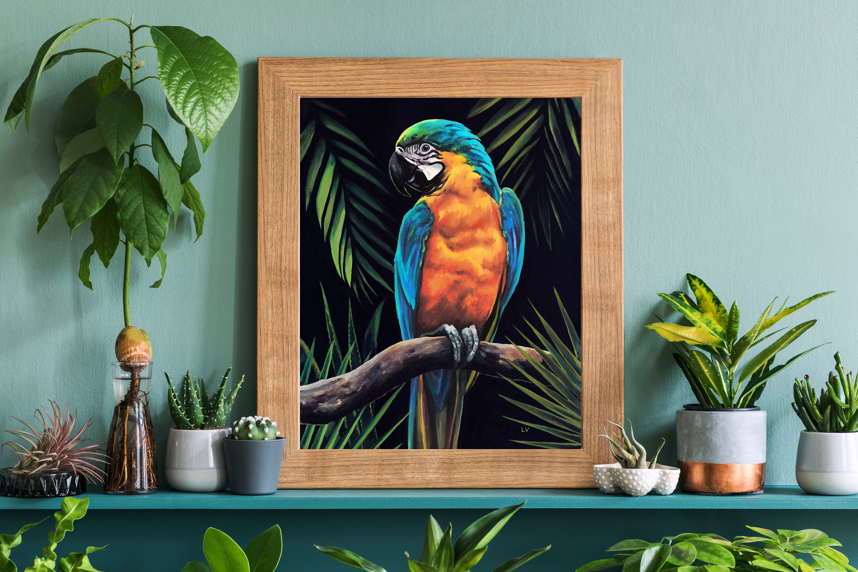 Stampa D'arte Con Cornice Wee Blue Coo – Pappagallo Con Schizzi Di Colore, 30x41 Cm, Legno, Prodotta In Scozia - 2