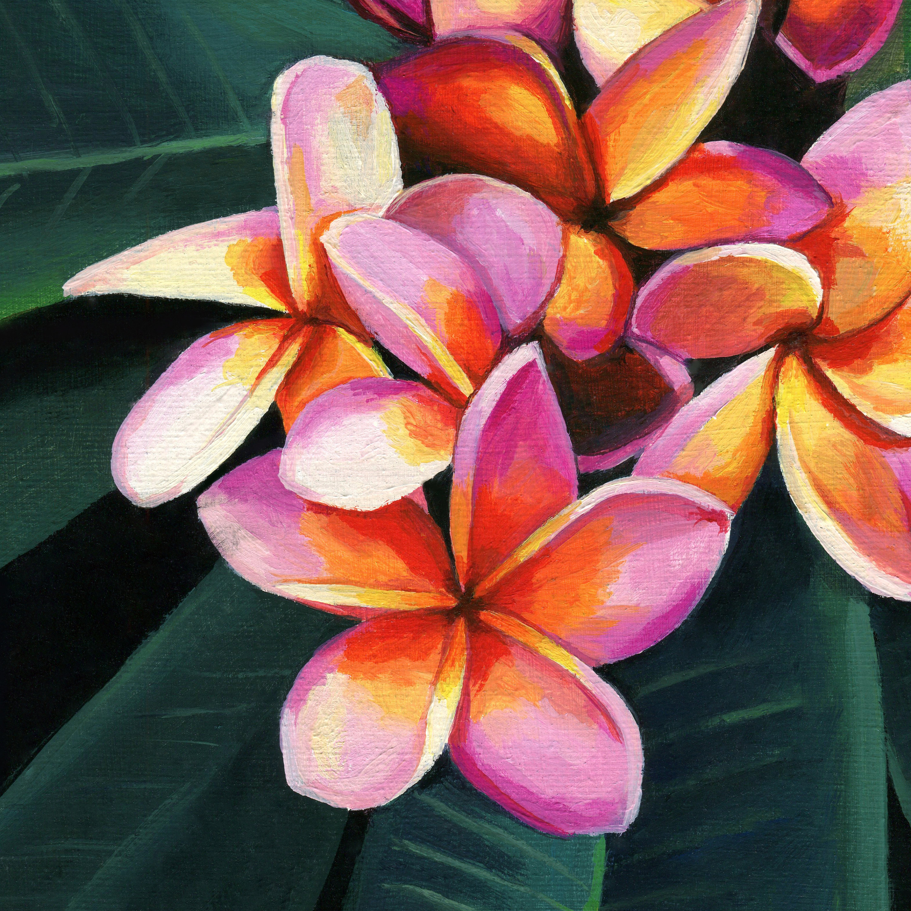 Plumeria Oil Painting ORIGINAL, Pink and Orange Frangipani Plant