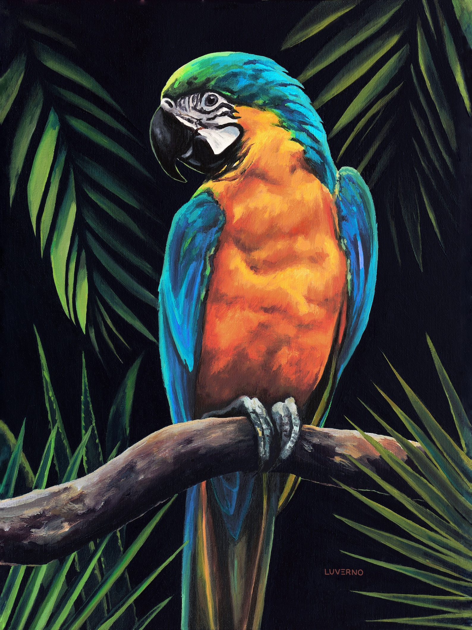 Parrot Print for Tropical Wall Decor Parrot Poster Macaw - Etsy UK
