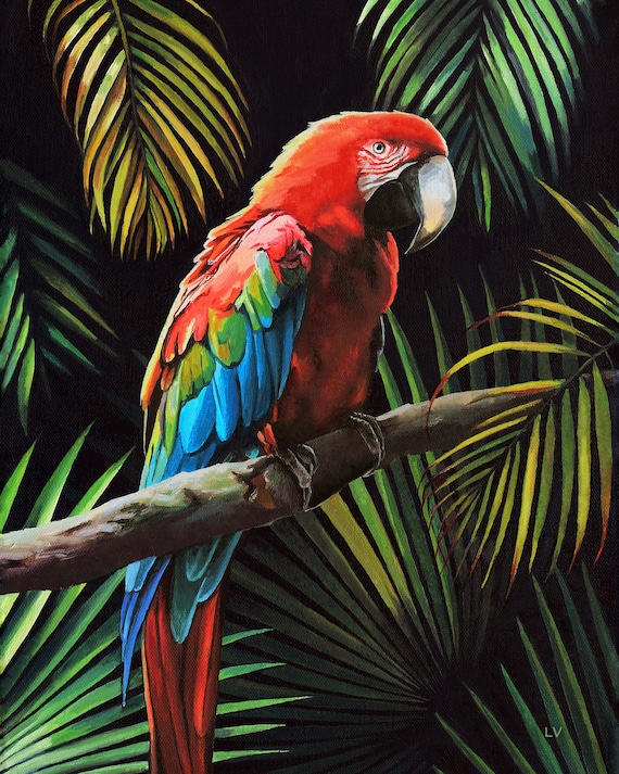 Montanari Papagallo 油彩画 50x70 cm Red Macaw Painting, Scarlet Parrot Artwork ORIGINAL, Jungle Animal