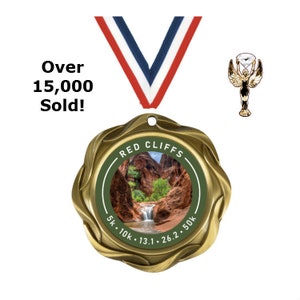 Personalized Medal - Custom Medal - Engraved Medal - No Minimum Order - Award Medal - Logo Medal - Custom Insert Medal - Gold Medal