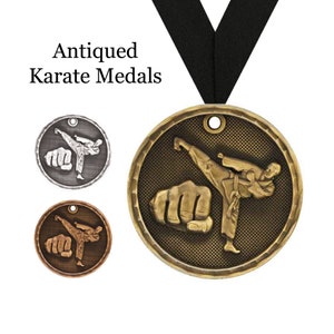 Karate Award Medals - Personalized Martial Arts Award - Karate Gifts - Youth Martial Arts Awards - Custom Sports Medallion Engraved Award