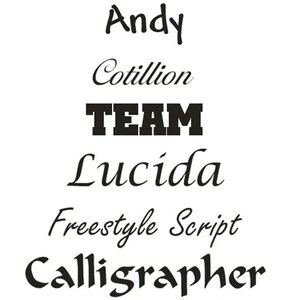 Op de afbeelding: Een lijst met verschillende lettertypen, waaronder Bookman, Invitation, Andy, Cotillion, TEAM, Lucida, Freestyle Script, Calligrapher, Black Jack en Segoe Script.