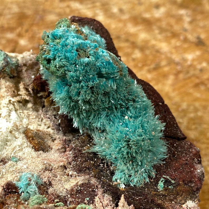 Top Quality Fibrous Aurichalcite From Chihuahua Mexico