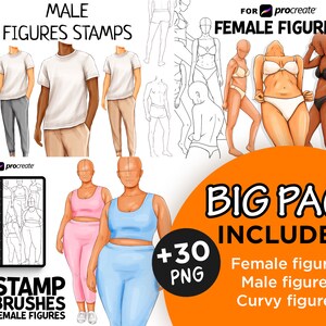 Procreate Body Stamps & Brushes: Male, Female, Curvy Figures (PNG)