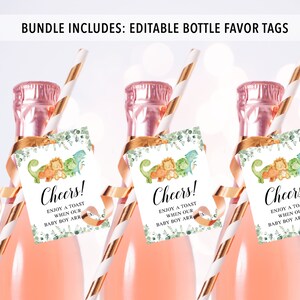 May include: Three mini bottles of champagne with gold and white striped straws and green and brown dinosaur themed tags that say "Cheers! Enjoy a toast when our baby boy arrives!"