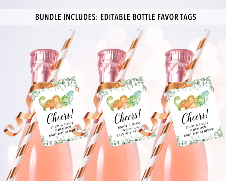 May include: Three mini bottles of champagne with gold and white striped straws and green and brown dinosaur themed tags that say "Cheers! Enjoy a toast when our baby boy arrives!"