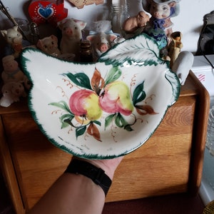 May include: A white ceramic serving dish with a leaf-shaped design and a green rim. The dish features a hand-painted design of two apples in shades of red, yellow, and pink, with green leaves and brown stems. The dish is held by a person.