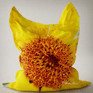 Giant beanbag cushion XXL 140 x 180 cm (55 x 71 inches). A real eye-catcher! Choose outdoor or indoor. Choose your favorite motif!