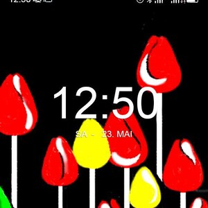 May include: A black background with a digital clock displaying 12:50. The text "SA - 23. MAI" is below the clock. There are several red and yellow tulips with white stems on the screen.