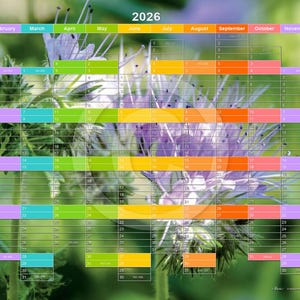 2026 XXL, XL annual planner. Self-adhesive, writable, various designs, extra strong, waterproof, removable without residue.