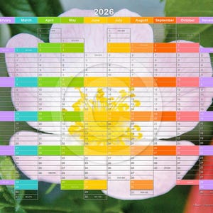 May include: A calendar for the year 2026 with a pink flower in the center. Each month is color-coded with a different color. The months are January, February, March, April, May, June, July, August, September, October, November, and December.