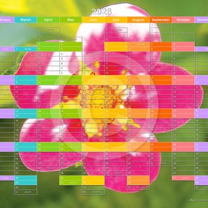 Peut inclure: Un calendrier 2026 superposé à une fleur rose vibrante avec un centre jaune. La grille du calendrier est visible, avec les mois étiquetés en haut dans différentes couleurs. Le fond est un vert flou.