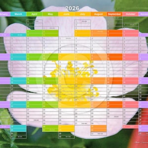 Peut inclure: Un calendrier pour l'année 2026 avec une fleur rose au centre. Chaque mois est codé par couleur avec une couleur différente. Les mois sont janvier, février, mars, avril, mai, juin, juillet, août, septembre, octobre, novembre et décembre.