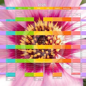 Peut inclure: Calendrier 2026 avec une fleur rose en arrière-plan. La grille du calendrier est superposée au centre de la fleur, chaque nom de mois étant d'une couleur différente. L'année "2026" est en haut.