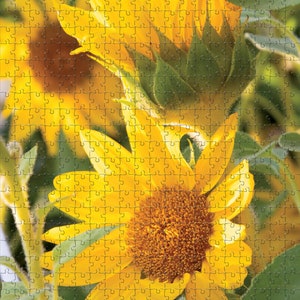 PUZZEL 1000, 500 of 88 stukjes XXL, XL of L. Kies je favoriete motief!