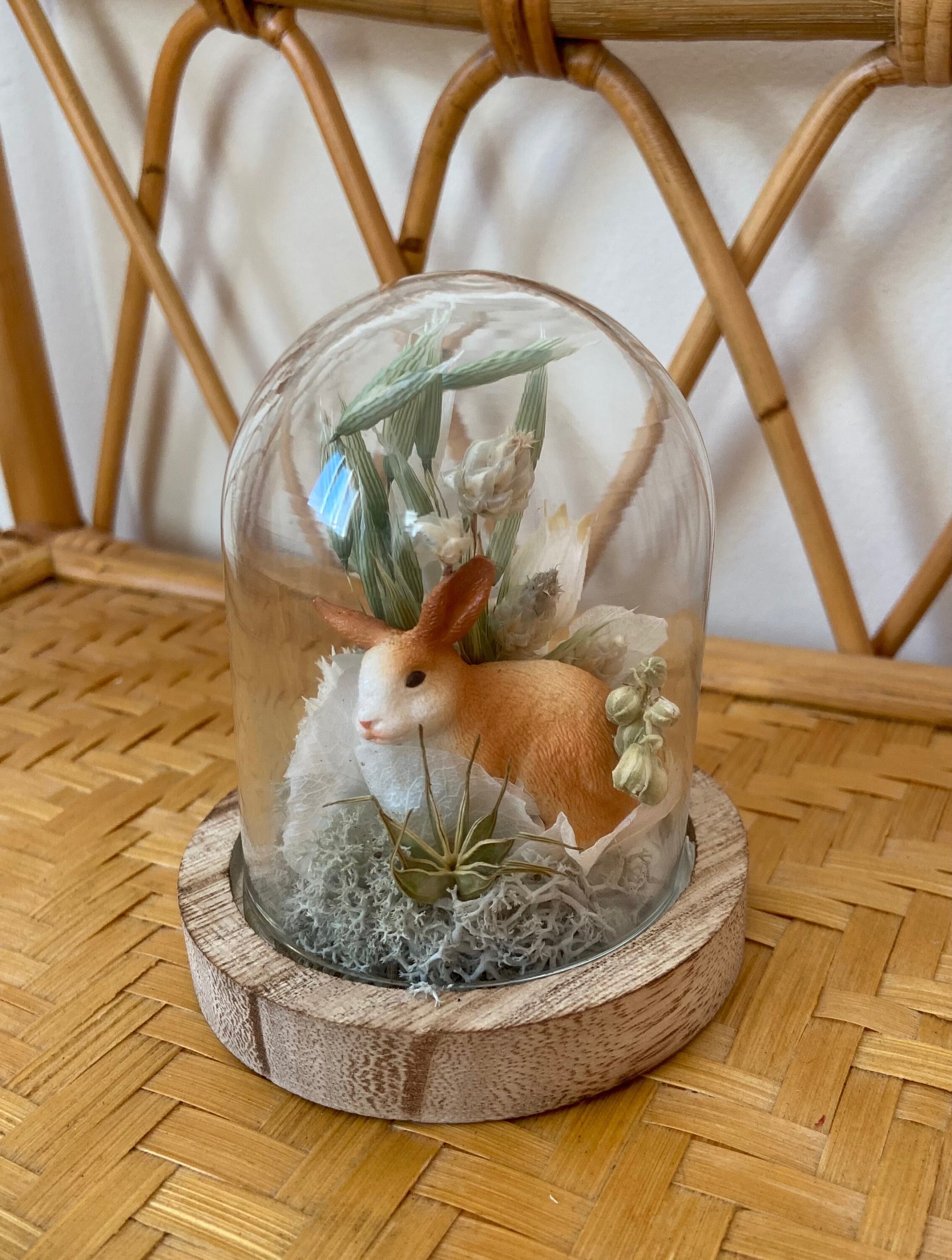 Cloche Décorative, Fleurs Séchées Modèle Kid's | Taille Xs