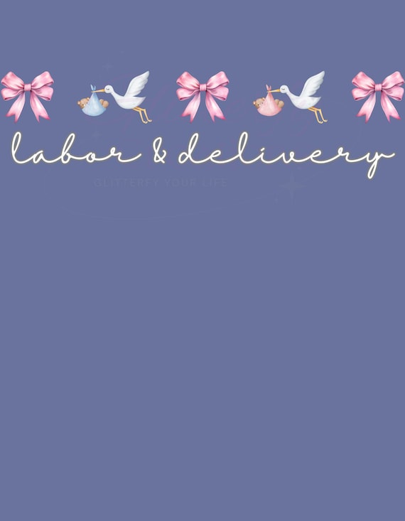 Labor & Delivery coquette storks bows png download