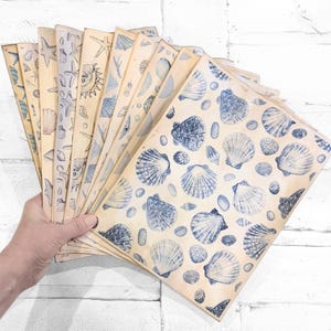 May include: A collection of vintage-style paper sheets featuring blue seashell illustrations. The sheets have a sepia tone, giving them an aged appearance. The seashell designs vary, including scallops and other marine life.