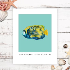 Handmade Emperor Angelfish Art Print: Modern Aquarium Decor