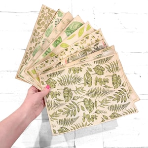 May include: A collection of botanical-themed paper sheets featuring various green leaf illustrations on a beige background. The sheets display different leaf patterns, including ferns, monstera leaves, and other foliage designs. The paper has a vintage aesthetic.