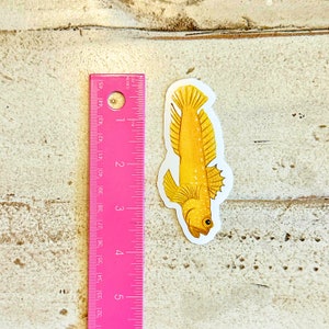 Handmade Aquarium Fish Sticker Pack, Set of 4 Glossy Waterproof Vinyl ...