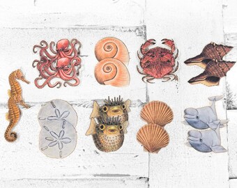 18 Ocean-Themed Die Cuts, Hand-Illustrated Cardstock Ephemera for Scrapbooking, Journaling