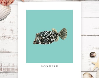 Handmade Boxfish Art Print: Modern Ocean Reef Decor