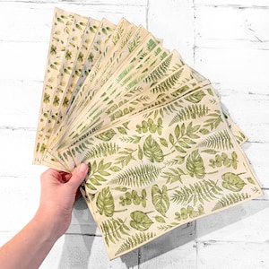 May include: A collection of rectangular paper sheets featuring a repeating botanical pattern of green ferns and various leaves printed on a cream-colored background, arranged in a fanned-out display to show multiple individual sheets.