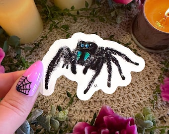 Fuzzy Jumping Spider Sticker: Glossy Waterproof Vinyl, Bug Oddities
