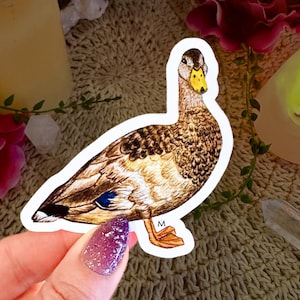 Handmade & Hand-Illustrated Mallard Duck Sticker, Made with Glossy Waterproof Vinyl, For Bird Watchers and Duck Lovers