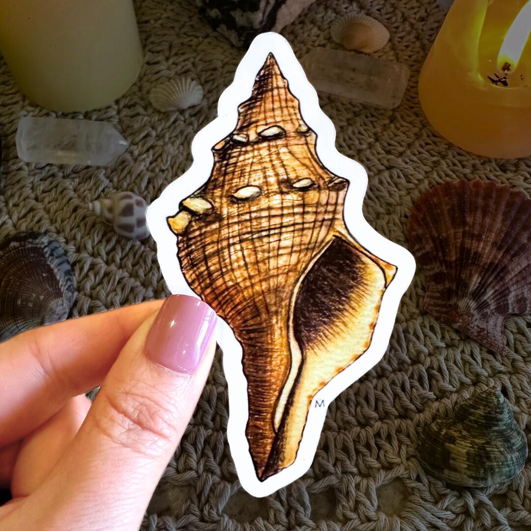 Handmade Brown Seashell Sticker, Glossy Waterproof Vinyl - Etsy